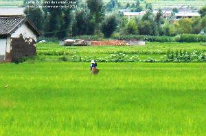 063 - Shaxi
